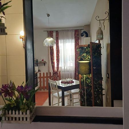 Flower Трані Екстер'єр фото
