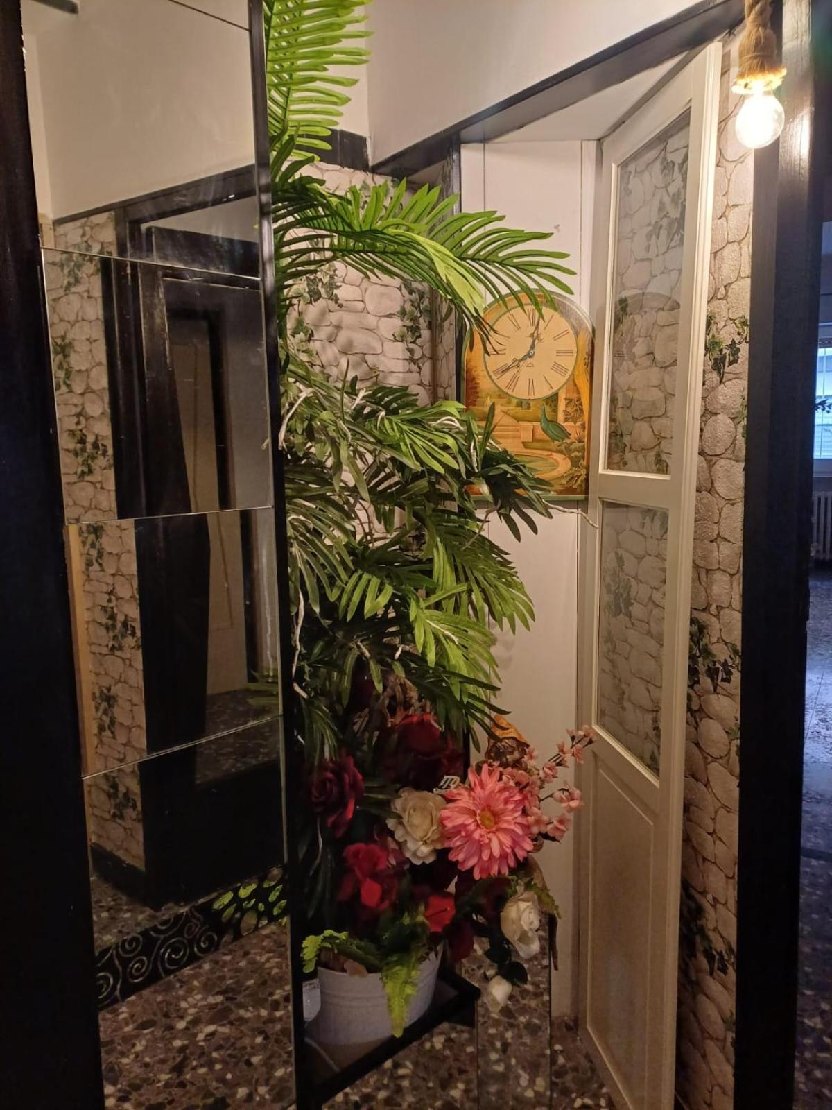 Flower Трані Екстер'єр фото